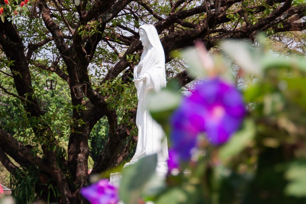 mary garden w statue unsplash josue rosales