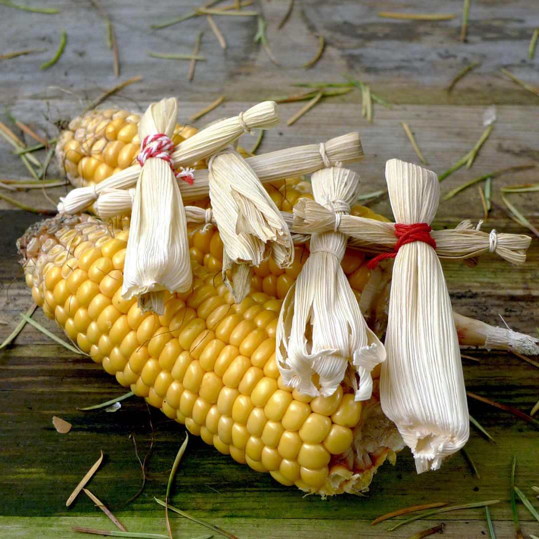 cornhusk doll kateri crafts featured image