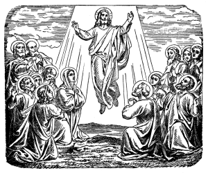 187876 the ascension of jesus at the mount lg
